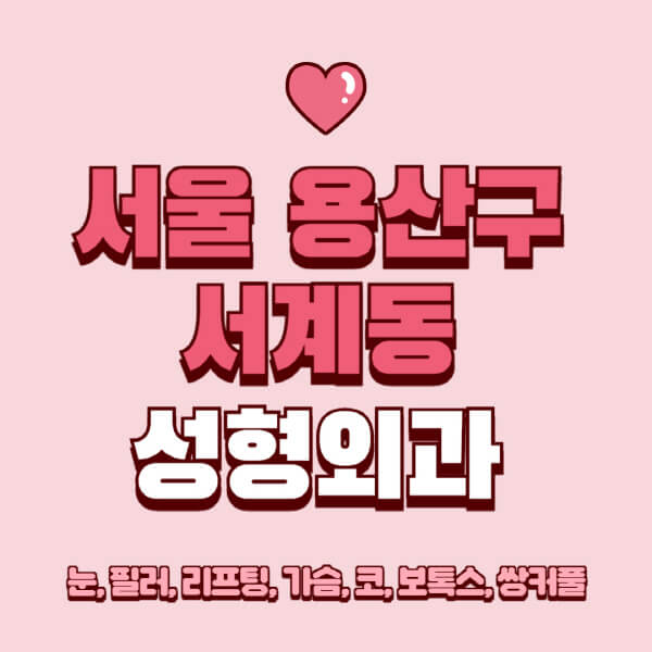 서울 용산구 서계동-성형외과-추천-유명한-곳-일요일-전문의-잘하는-곳-눈-필러-리프팅-가슴-코-보톡스-쌍커풀-후기
