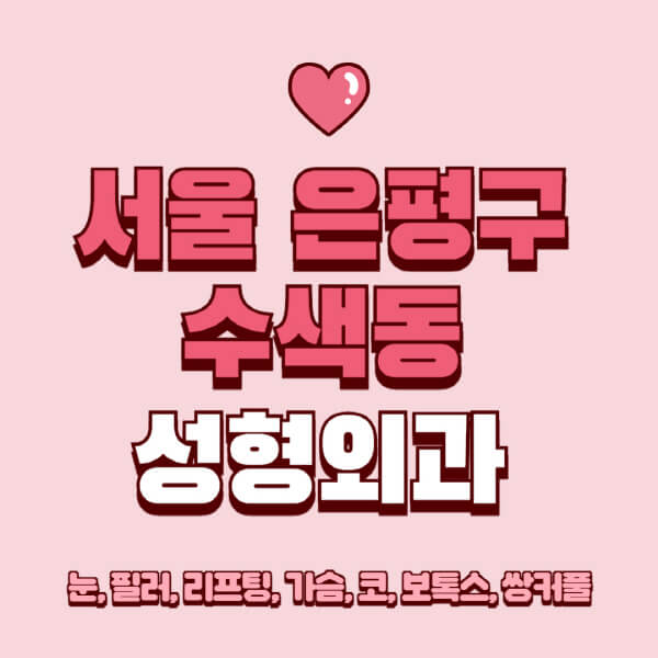 서울 은평구 수색동-성형외과-추천-유명한-곳-일요일-전문의-잘하는-곳-눈-필러-리프팅-가슴-코-보톡스-쌍커풀-후기