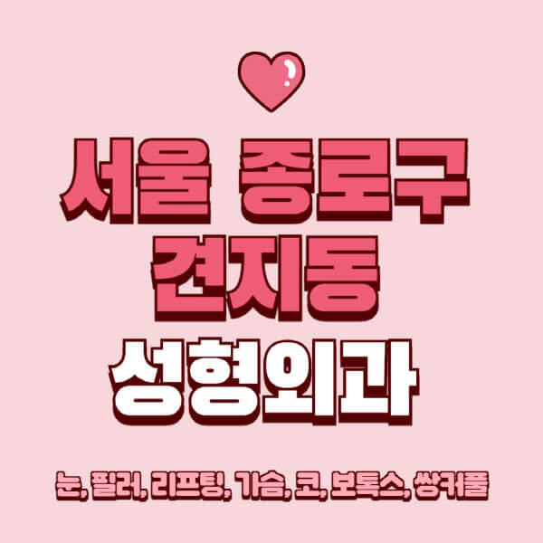 서울 종로구 견지동-성형외과-추천-유명한-곳-일요일-전문의-잘하는-곳-눈-필러-리프팅-가슴-코-보톡스-쌍커풀-후기