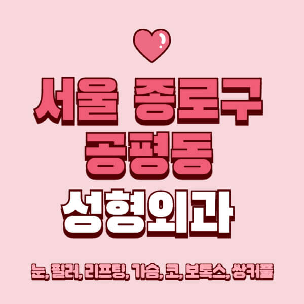 서울 종로구 공평동-성형외과-추천-유명한-곳-일요일-전문의-잘하는-곳-눈-필러-리프팅-가슴-코-보톡스-쌍커풀-후기