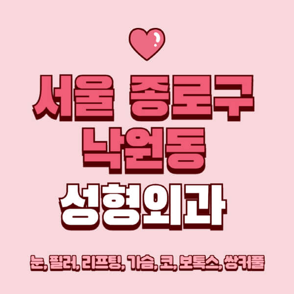서울 종로구 낙원동-성형외과-추천-유명한-곳-일요일-전문의-잘하는-곳-눈-필러-리프팅-가슴-코-보톡스-쌍커풀-후기