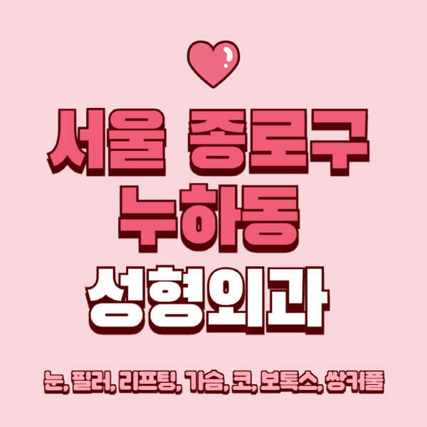 서울 종로구 누하동-성형외과-추천-유명한-곳-일요일-전문의-잘하는-곳-눈-필러-리프팅-가슴-코-보톡스-쌍커풀-후기