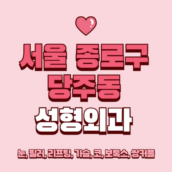 서울 종로구 당주동-성형외과-추천-유명한-곳-일요일-전문의-잘하는-곳-눈-필러-리프팅-가슴-코-보톡스-쌍커풀-후기