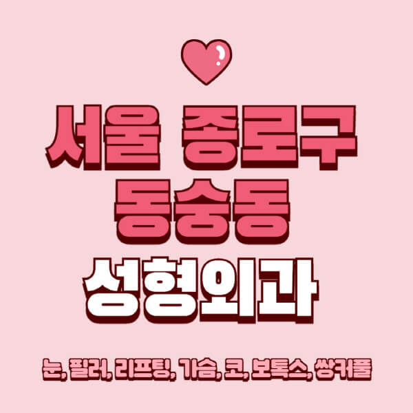 서울 종로구 동숭동-성형외과-추천-유명한-곳-일요일-전문의-잘하는-곳-눈-필러-리프팅-가슴-코-보톡스-쌍커풀-후기