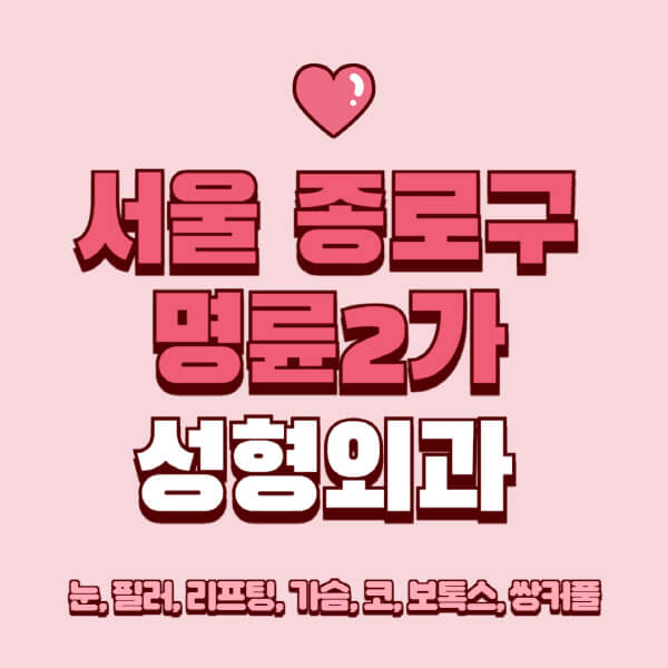 서울 종로구 명륜2가-성형외과-추천-유명한-곳-일요일-전문의-잘하는-곳-눈-필러-리프팅-가슴-코-보톡스-쌍커풀-후기