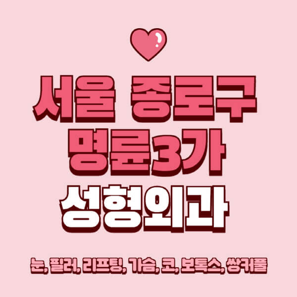 서울 종로구 명륜3가-성형외과-추천-유명한-곳-일요일-전문의-잘하는-곳-눈-필러-리프팅-가슴-코-보톡스-쌍커풀-후기