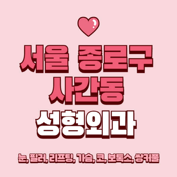 서울 종로구 사간동-성형외과-추천-유명한-곳-일요일-전문의-잘하는-곳-눈-필러-리프팅-가슴-코-보톡스-쌍커풀-후기