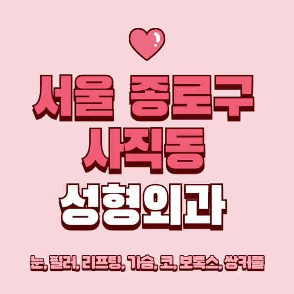 서울 종로구 사직동-성형외과-추천-유명한-곳-일요일-전문의-잘하는-곳-눈-필러-리프팅-가슴-코-보톡스-쌍커풀-후기