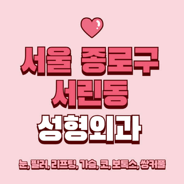 서울 종로구 서린동-성형외과-추천-유명한-곳-일요일-전문의-잘하는-곳-눈-필러-리프팅-가슴-코-보톡스-쌍커풀-후기