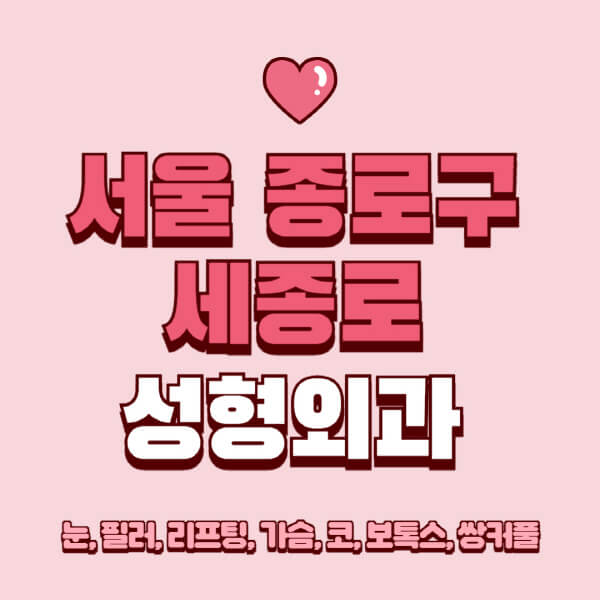 서울 종로구 세종로-성형외과-추천-유명한-곳-일요일-전문의-잘하는-곳-눈-필러-리프팅-가슴-코-보톡스-쌍커풀-후기