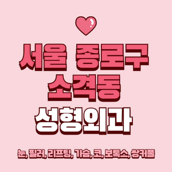 서울 종로구 소격동-성형외과-추천-유명한-곳-일요일-전문의-잘하는-곳-눈-필러-리프팅-가슴-코-보톡스-쌍커풀-후기