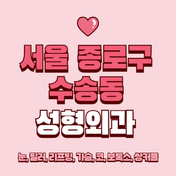 서울 종로구 수송동-성형외과-추천-유명한-곳-일요일-전문의-잘하는-곳-눈-필러-리프팅-가슴-코-보톡스-쌍커풀-후기