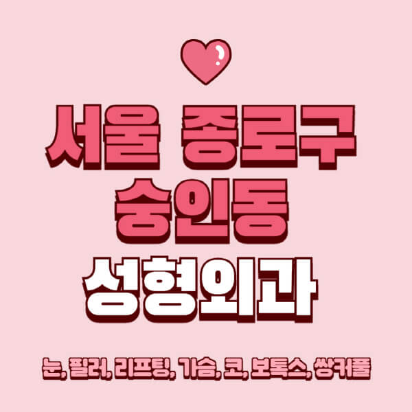 서울 종로구 숭인동-성형외과-추천-유명한-곳-일요일-전문의-잘하는-곳-눈-필러-리프팅-가슴-코-보톡스-쌍커풀-후기