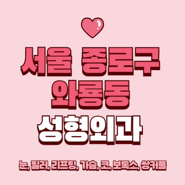 서울 종로구 와룡동-성형외과-추천-유명한-곳-일요일-전문의-잘하는-곳-눈-필러-리프팅-가슴-코-보톡스-쌍커풀-후기