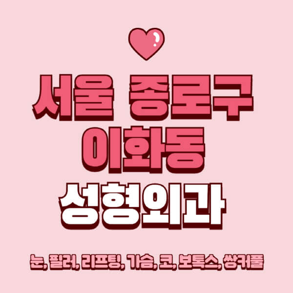 서울 종로구 이화동-성형외과-추천-유명한-곳-일요일-전문의-잘하는-곳-눈-필러-리프팅-가슴-코-보톡스-쌍커풀-후기
