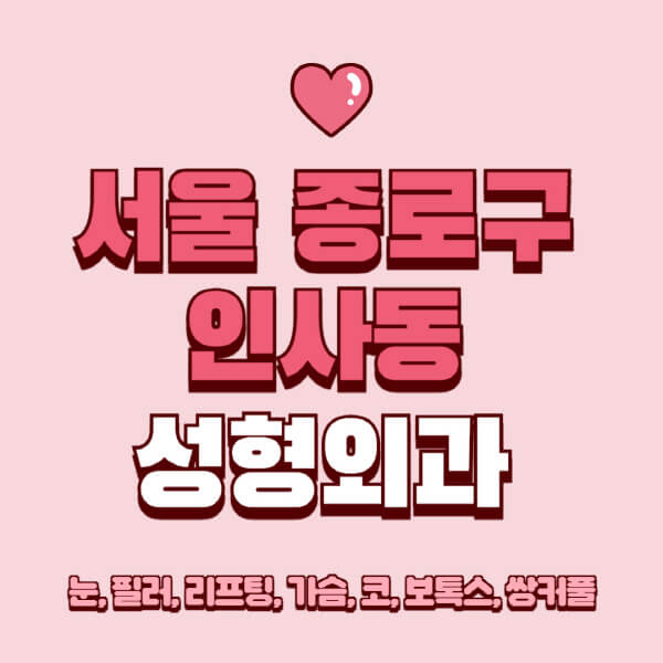 서울 종로구 인사동-성형외과-추천-유명한-곳-일요일-전문의-잘하는-곳-눈-필러-리프팅-가슴-코-보톡스-쌍커풀-후기