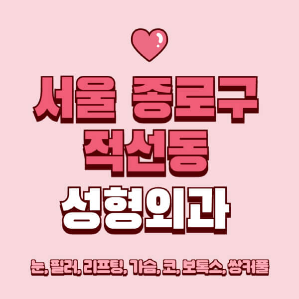 서울 종로구 적선동-성형외과-추천-유명한-곳-일요일-전문의-잘하는-곳-눈-필러-리프팅-가슴-코-보톡스-쌍커풀-후기