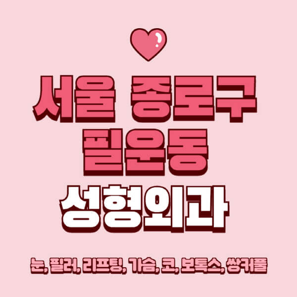 서울 종로구 필운동-성형외과-추천-유명한-곳-일요일-전문의-잘하는-곳-눈-필러-리프팅-가슴-코-보톡스-쌍커풀-후기