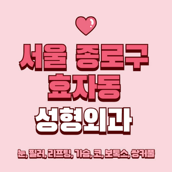 서울 종로구 효자동-성형외과-추천-유명한-곳-일요일-전문의-잘하는-곳-눈-필러-리프팅-가슴-코-보톡스-쌍커풀-후기