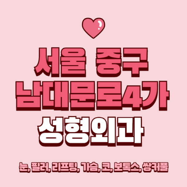 서울 중구 남대문로4가-성형외과-추천-유명한-곳-일요일-전문의-잘하는-곳-눈-필러-리프팅-가슴-코-보톡스-쌍커풀-후기