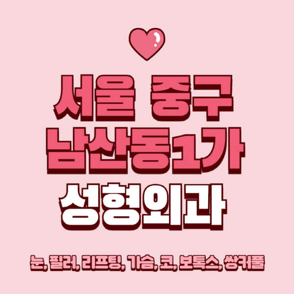 서울 중구 남산동1가-성형외과-추천-유명한-곳-일요일-전문의-잘하는-곳-눈-필러-리프팅-가슴-코-보톡스-쌍커풀-후기