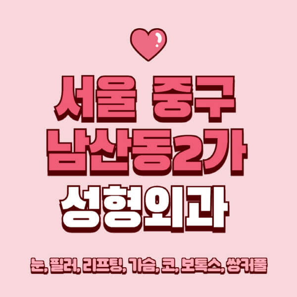 서울 중구 남산동2가-성형외과-추천-유명한-곳-일요일-전문의-잘하는-곳-눈-필러-리프팅-가슴-코-보톡스-쌍커풀-후기