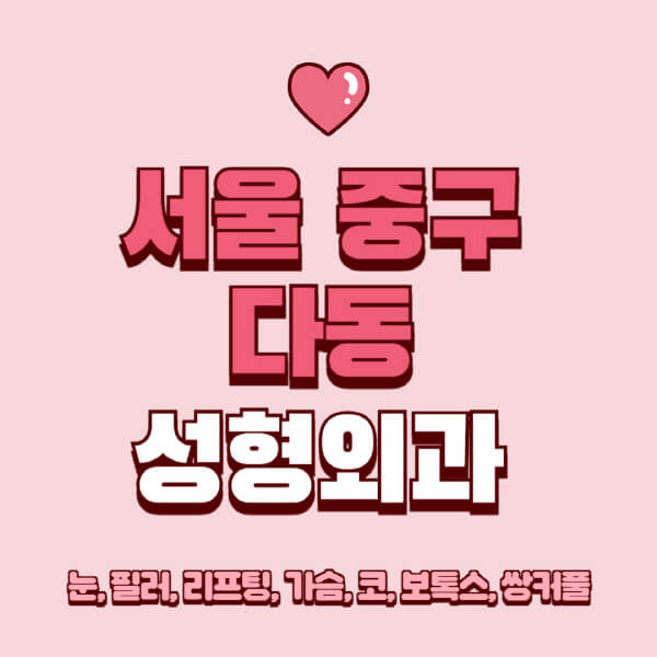 서울 중구 다동-성형외과-추천-유명한-곳-일요일-전문의-잘하는-곳-눈-필러-리프팅-가슴-코-보톡스-쌍커풀-후기