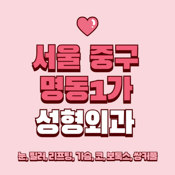 서울 중구 명동1가-성형외과-추천-유명한-곳-일요일-전문의-잘하는-곳-눈-필러-리프팅-가슴-코-보톡스-쌍커풀-후기