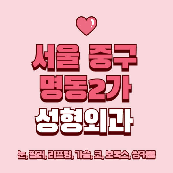 서울 중구 명동2가-성형외과-추천-유명한-곳-일요일-전문의-잘하는-곳-눈-필러-리프팅-가슴-코-보톡스-쌍커풀-후기