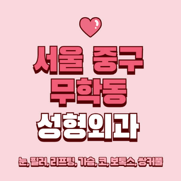 서울 중구 무학동-성형외과-추천-유명한-곳-일요일-전문의-잘하는-곳-눈-필러-리프팅-가슴-코-보톡스-쌍커풀-후기