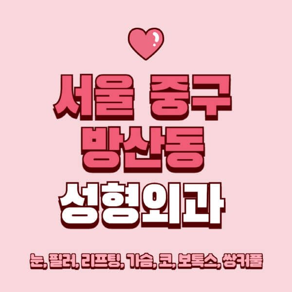 서울 중구 방산동-성형외과-추천-유명한-곳-일요일-전문의-잘하는-곳-눈-필러-리프팅-가슴-코-보톡스-쌍커풀-후기