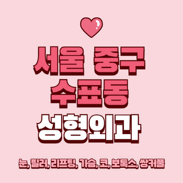 서울 중구 수표동-성형외과-추천-유명한-곳-일요일-전문의-잘하는-곳-눈-필러-리프팅-가슴-코-보톡스-쌍커풀-후기