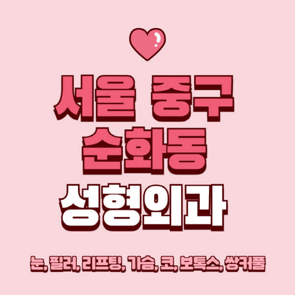 서울 중구 순화동-성형외과-추천-유명한-곳-일요일-전문의-잘하는-곳-눈-필러-리프팅-가슴-코-보톡스-쌍커풀-후기