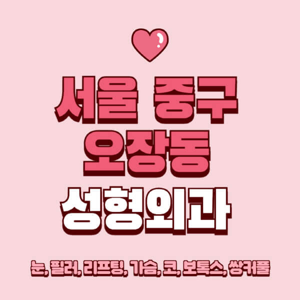 서울 중구 오장동-성형외과-추천-유명한-곳-일요일-전문의-잘하는-곳-눈-필러-리프팅-가슴-코-보톡스-쌍커풀-후기