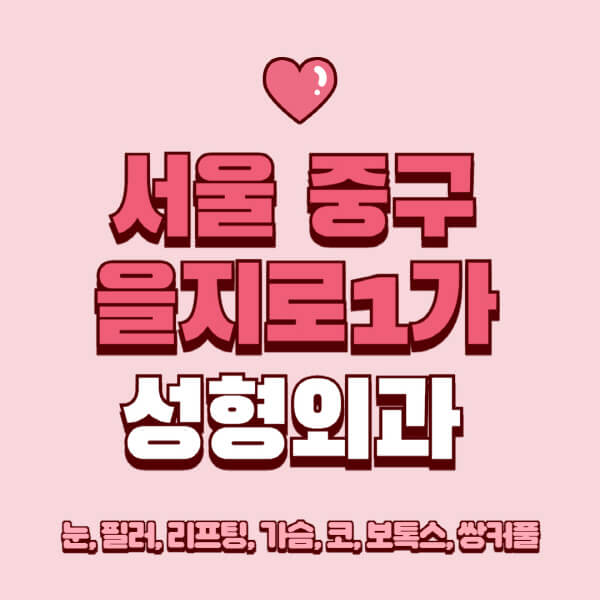 서울 중구 을지로1가-성형외과-추천-유명한-곳-일요일-전문의-잘하는-곳-눈-필러-리프팅-가슴-코-보톡스-쌍커풀-후기