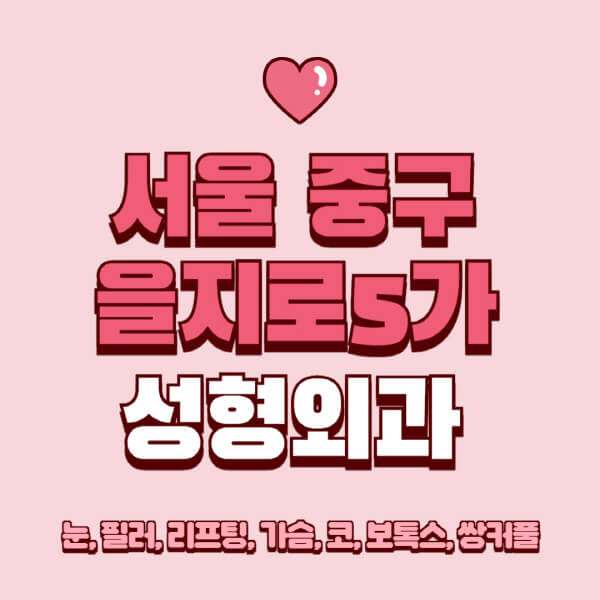서울 중구 을지로5가-성형외과-추천-유명한-곳-일요일-전문의-잘하는-곳-눈-필러-리프팅-가슴-코-보톡스-쌍커풀-후기