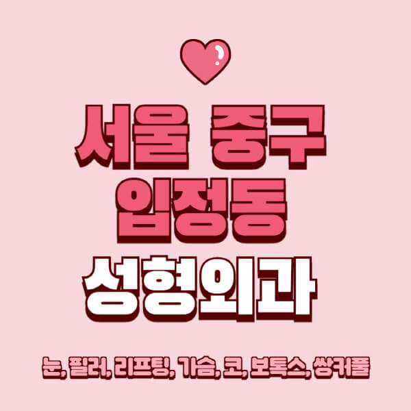 서울 중구 입정동-성형외과-추천-유명한-곳-일요일-전문의-잘하는-곳-눈-필러-리프팅-가슴-코-보톡스-쌍커풀-후기