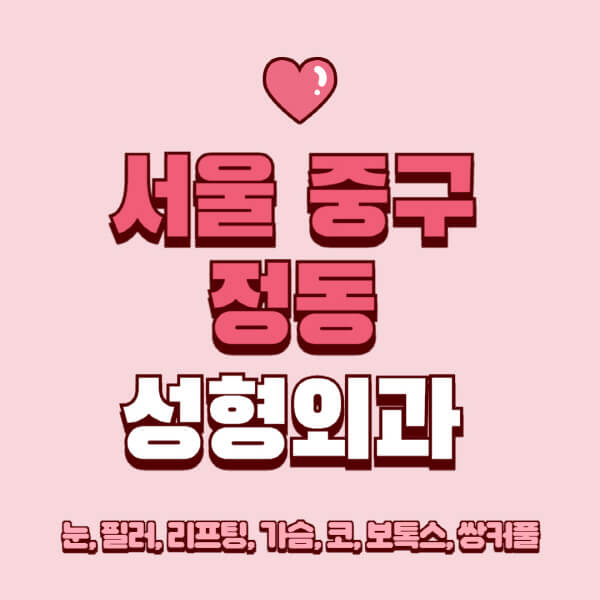 서울 중구 정동-성형외과-추천-유명한-곳-일요일-전문의-잘하는-곳-눈-필러-리프팅-가슴-코-보톡스-쌍커풀-후기