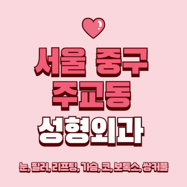 서울 중구 주교동-성형외과-추천-유명한-곳-일요일-전문의-잘하는-곳-눈-필러-리프팅-가슴-코-보톡스-쌍커풀-후기