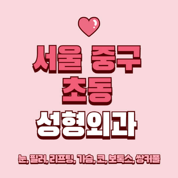 서울 중구 초동-성형외과-추천-유명한-곳-일요일-전문의-잘하는-곳-눈-필러-리프팅-가슴-코-보톡스-쌍커풀-후기