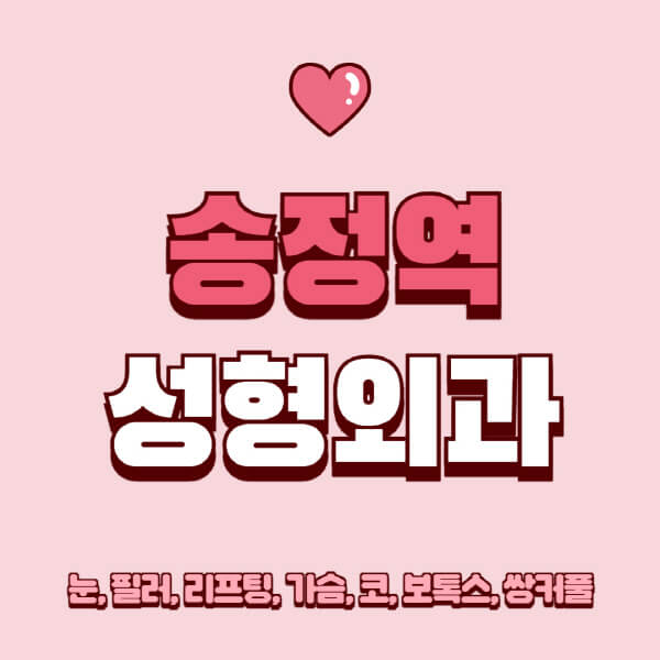 송정역-성형외과-추천-유명한-곳-일요일-전문의-잘하는-곳-눈-필러-리프팅-가슴-코-보톡스-쌍커풀-후기