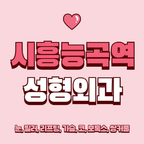 시흥능곡역-성형외과-추천-유명한-곳-일요일-전문의-잘하는-곳-눈-필러-리프팅-가슴-코-보톡스-쌍커풀-후기