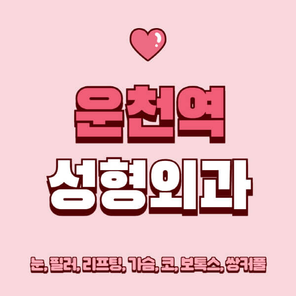 운천역-성형외과-추천-유명한-곳-일요일-전문의-잘하는-곳-눈-필러-리프팅-가슴-코-보톡스-쌍커풀-후기