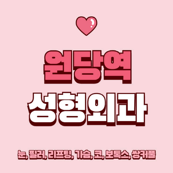 원당역-성형외과-추천-유명한-곳-일요일-전문의-잘하는-곳-눈-필러-리프팅-가슴-코-보톡스-쌍커풀-후기
