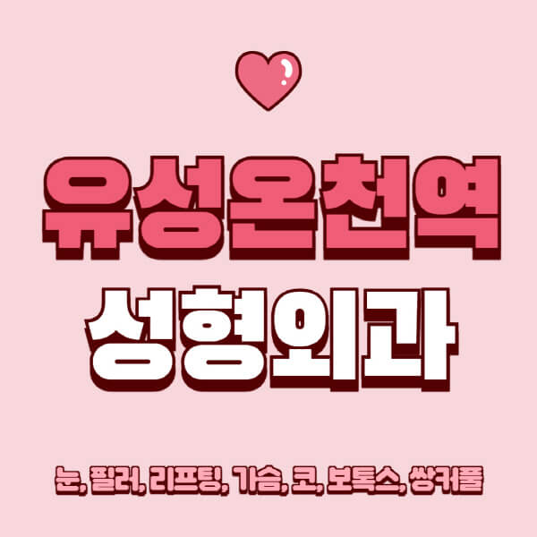 유성온천역-성형외과-추천-유명한-곳-일요일-전문의-잘하는-곳-눈-필러-리프팅-가슴-코-보톡스-쌍커풀-후기