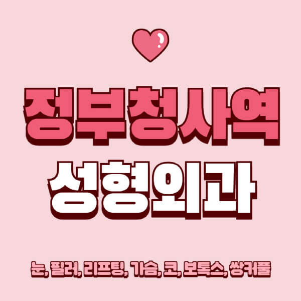 정부청사역-성형외과-추천-유명한-곳-일요일-전문의-잘하는-곳-눈-필러-리프팅-가슴-코-보톡스-쌍커풀-후기