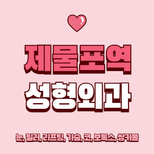 제물포역-성형외과-추천-유명한-곳-일요일-전문의-잘하는-곳-눈-필러-리프팅-가슴-코-보톡스-쌍커풀-후기